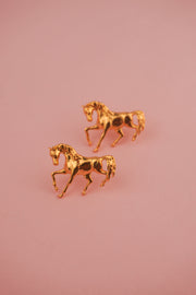 TOPO CABALLO LLANO