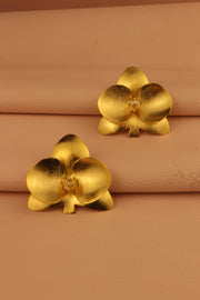 ARETE ORQUIDEA