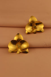 ARETE ORQUIDEA
