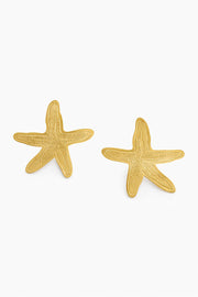 MAXI ARETE ESTRELLA