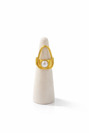 ANILLO ASIMETRICO