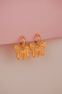 CANDONGAS MARIPOSAS LOVE