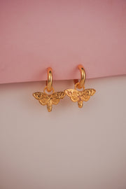 CANDONGAS LIBELULA LOVE