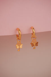 CANDONGAS LIBELULA GARDEN