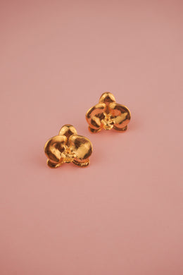 TOPO ORQUIDEA PHALAENOPSIS