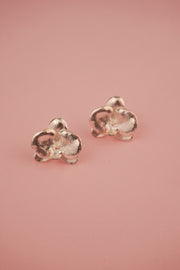 TOPO ORQUIDEA PHALAENOPSIS