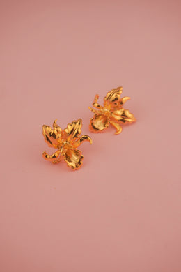 TOPO ORQUIDEA CATTLEYA