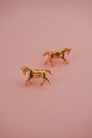 TOPO CABALLO LLANERO