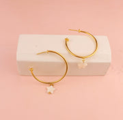 CANDONGAS ESTRELLA NACAR