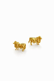 ARETE VACA BRAHMAN