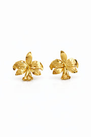 ARETE ORQUIDEA