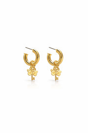 CANDONGAS LIBELULA GARDEN