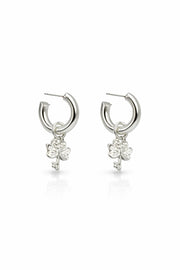 CANDONGAS LIBELULA GARDEN