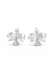 ARETE ORQUIDEA