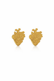 ARETE CORAZÓN ANATÓMICO DISEÑO