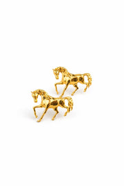 TOPO CABALLO LLANO