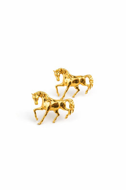 TOPO CABALLO LLANO